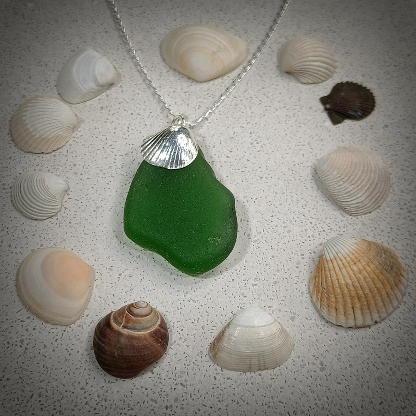 Sea Green Seaglass & Cockle charm necklace (18"/45cm chain)