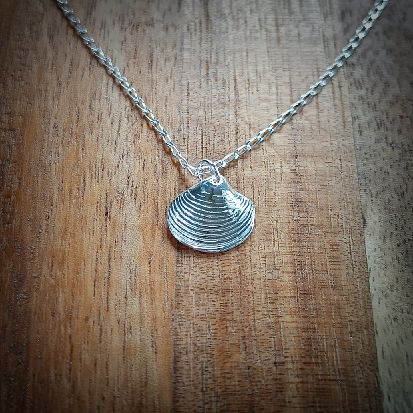 Small Silver Venus shell necklace, (18"/45cm chain)